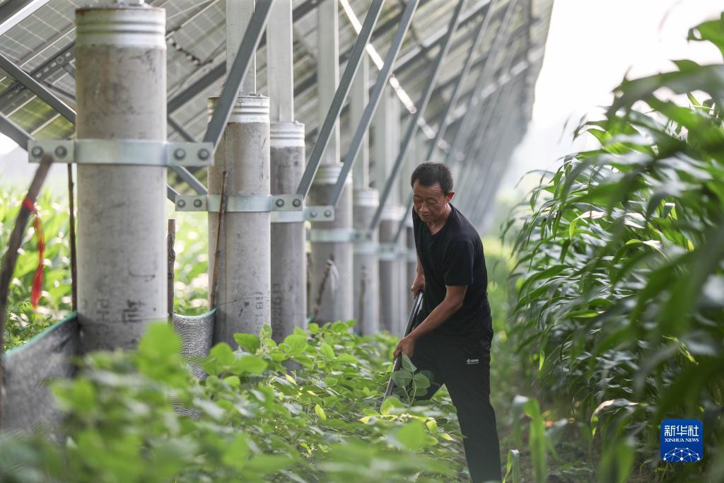 大白菜增强版好用吗